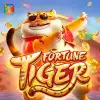 Fortune Tiger