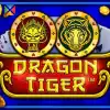 Dragon Tiger